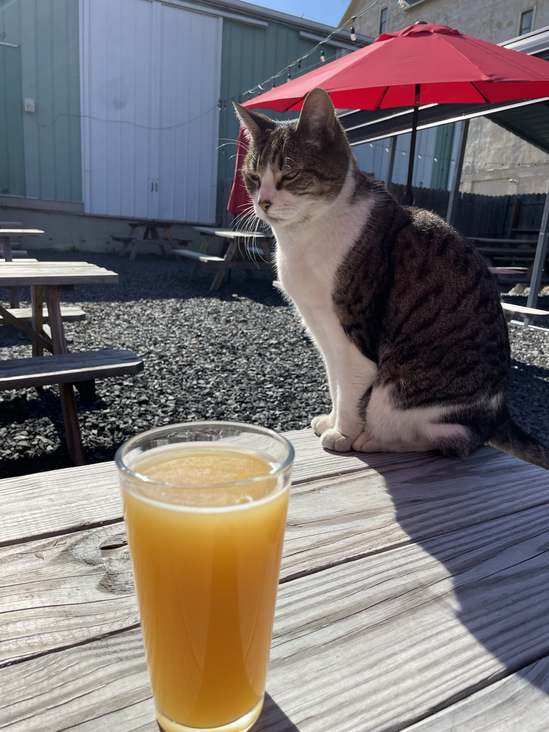 Holy Trinity of Beer in Orange County